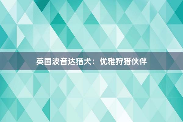 英国波音达猎犬：优雅狩猎伙伴