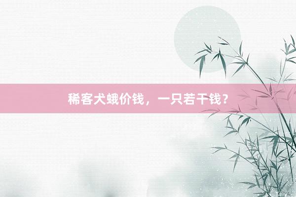 稀客犬蛾价钱，一只若干钱？