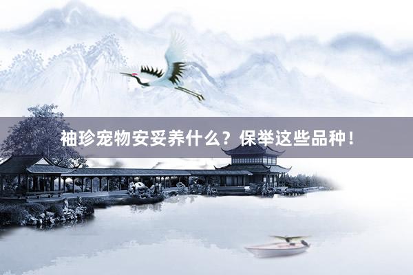 袖珍宠物安妥养什么？保举这些品种！