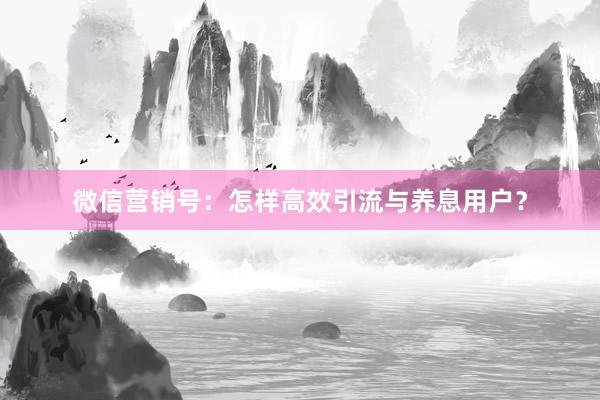 微信营销号：怎样高效引流与养息用户？